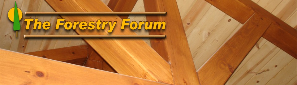 Learn about Timber Framing