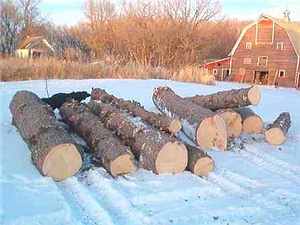 I got 15 free spruce logs.jpg