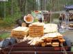 Lumber pile.jpg
