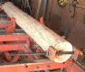 Wood-Mizer clamp.JPG