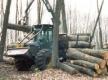Timberjack 230A Forwarder Sorting Oak Logs.jpg