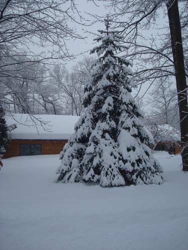 December_snow_04_3.jpg