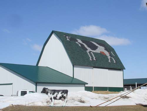 giant_cow_roof_2.jpg