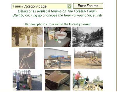 Random photos
A screen shot of the random photo program on the forestry forum's front door
