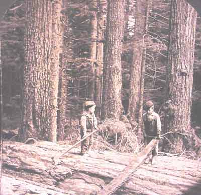 two_boys_with_logging_sm.jpg