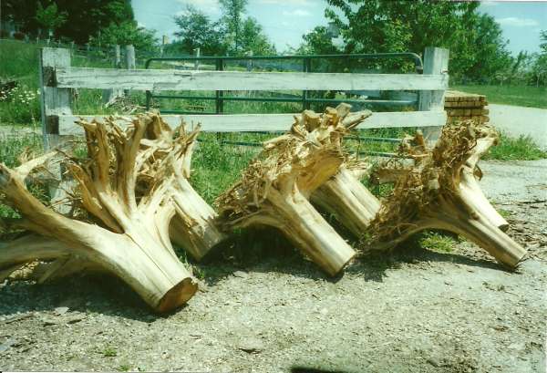scan0001
amish_table_stumps
