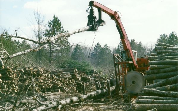 scan0001








Slasher Harvesting Aspen Products, Holcomb/Allen timber harvest, 4/11  
