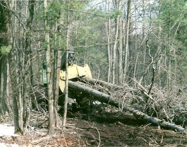 scan0002
Tree Length Skidding Aspen, Holcomb/Allen timber harvest, 4/11
