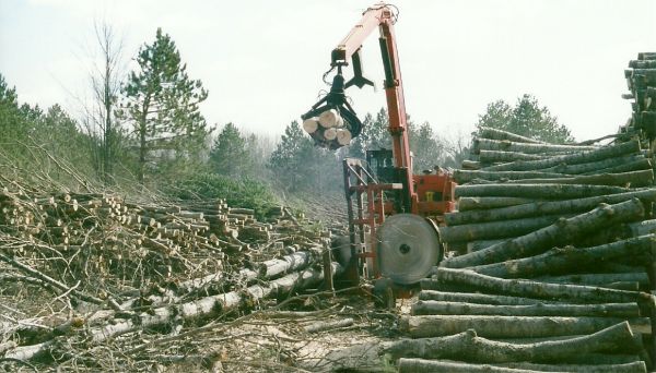 scan0004
Slasher Harvesting Aspen Products3, Holcomb/Allen timber harvest, 4/11  
