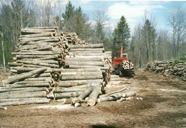 scan0007
Work at the Landing1; Holcomb/Allen Timber Harvest, 4/11

