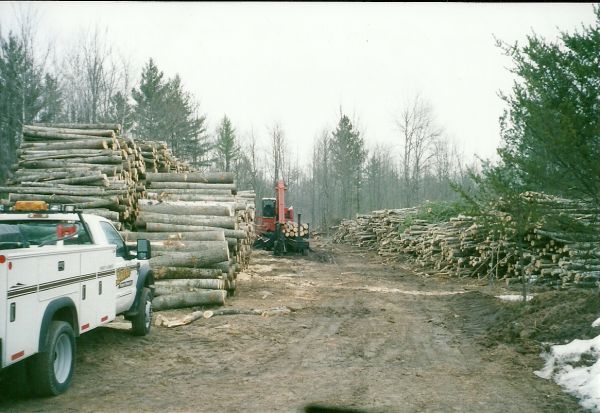 scan0007
Landing/Decking Area; Holcomb/Allen timber harvest, 4/11
