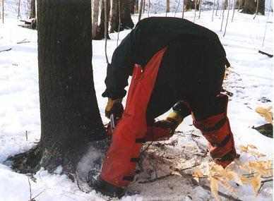 chainsaw_safety_training
Trainer Demonstrated Properr Cutting and Falling.
