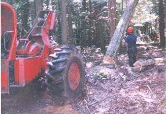 checking_the_pull_down
Pulling Down Hardwood Tree Lengths With Cable Skidder
