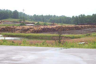 columbia_log_yard.JPG
Columbia Log Yard, Craigsville, W VA, 6/09
