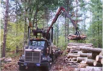 family_logging_operation_j_budd
DaD Loads The Wood Hauler "Get R Dun" In This Family Logging business

