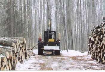 Iron Mule Forwarders
Treais timber harvest; 2/05

