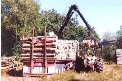 loading_truck_from_valmet1
Loading Truck From Valmet1; Maturen timber harvest; 7/08
