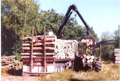 loading_truck_from_valmet
Loading Truck From Valmet; Maturen timber harvest; 7/08

