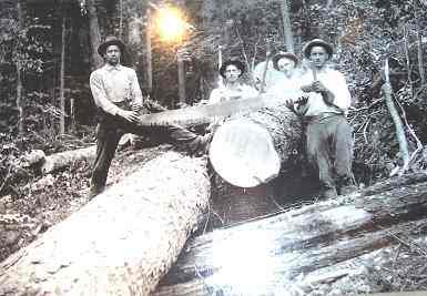 logging_history_richwood_w_va.JPG
Richwood, W VA Historical Logging Photo, 8/09
