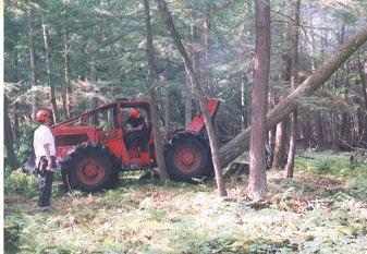 pulling_tree_down
Pulling The Cut Tree Down With Timberjack Cable Skidder
