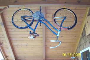 robbin's_nest_in_bicycle
Robbin's Nest In Bicycle Sproket
