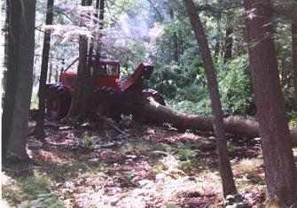 timberjack_cable_skidder_mosher_hdwds
Timberjack Cable skidder Pulls A Tree Length. Mosher Hardwoods timber harvest; 8/05
