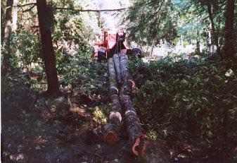 timberjack_cable_skidder_wheeler1
Timberjack Cable Skidder Pulls Tree Lengths From Hemlock/Lowland Hardwoods Stand
