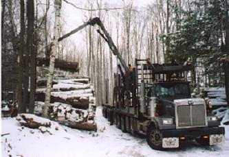 wood_haulers
Western Star Log Hauler; Treais timber harvest; 2/05
