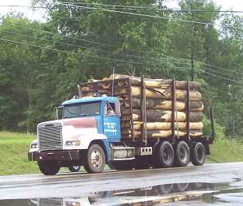 wv_log_truck
A truck load of logs turns into the Columbua Mill; Craigsville, WV. 6/09.
