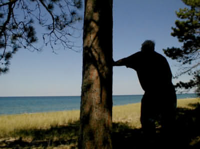 Saving a tree on Lake Superior
