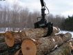 Basswood Log goes into the Pile.jpg