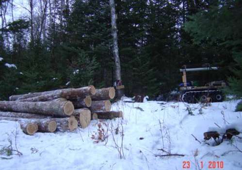 staging logs for the mill
