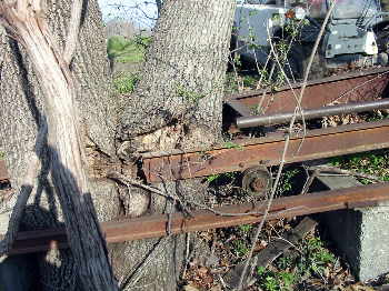 The tree started to eat the mill.
This elm grew up inside the end of the track and was pushing the carriage off the track.
Keywords: Uncle Chick.