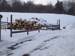 more logs
snow covers my out of contrpl hobby
