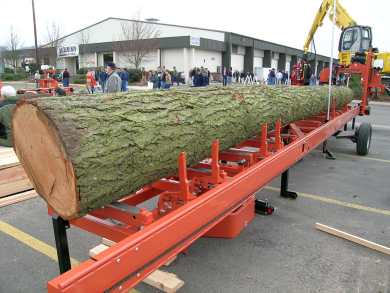 LT 40 Long Log
