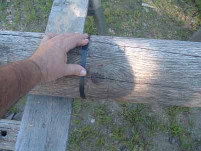 Marking a round log with a cut line.
In this picture you'll see my hand holding a piece of plastic strapping around a round log for marking it. You'll also see the line where I have marked it already just to the right of the strap.
