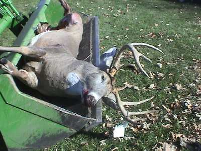 Deer_in_Deere
Buck hunting tote
Keywords: Deere