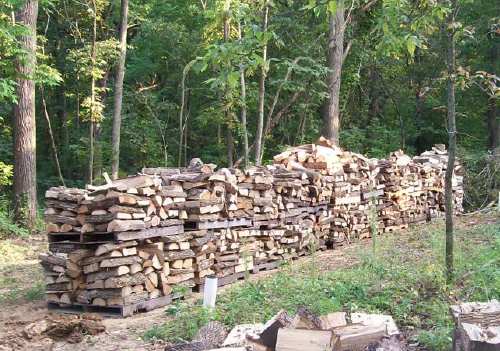 Seasoning Firewood in Firewood and Wood Heating