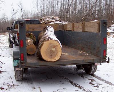 Burl_shopping
Beginning of trailer load of hard maple
