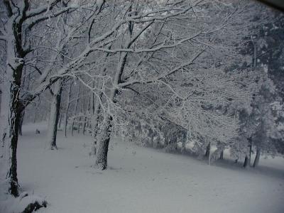 Nov_10_snowl
NE wind brought some snow
Keywords: weather