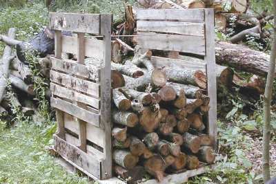Small_wood_palletized
Limb wood unsplit and stacked using three pallets.
Keywords: firewood