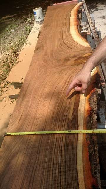 Chestnut oak lumber
