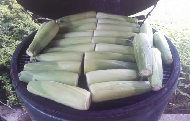 two dozen ears of corn
