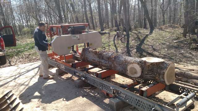 Gnarly white oak log
