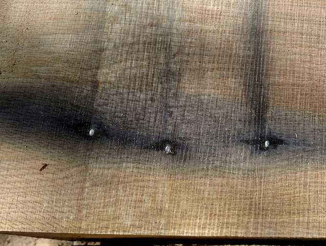 Barbed wire in white oak log
