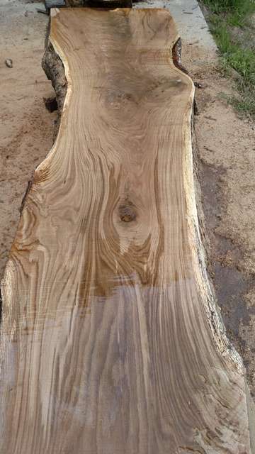 Chestnut oak slab
