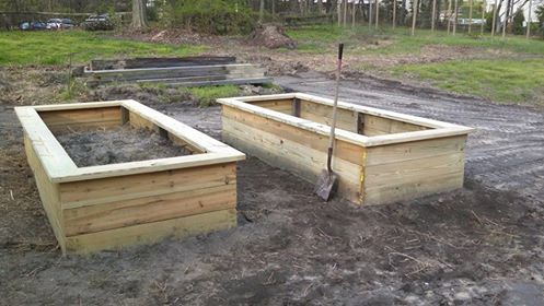 2 raised beds done
