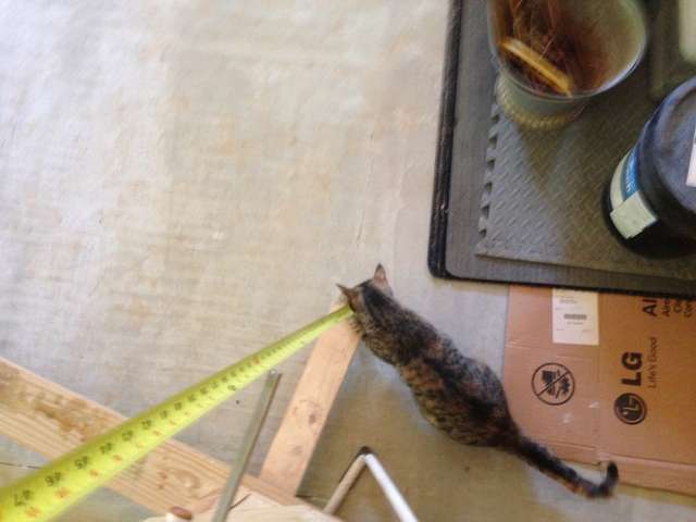 Millcat helps measure
