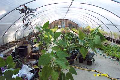 JGH Greenery
interior of greenhouse with plants
Keywords: OWW, greenhouse