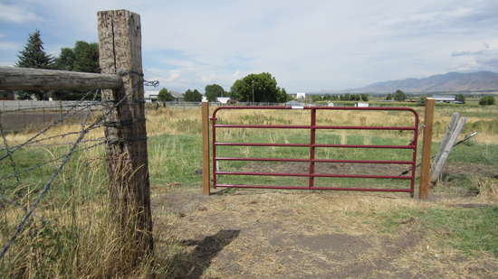 Gate
Gate and posts
Keywords: gate post